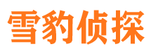 长岛侦探公司